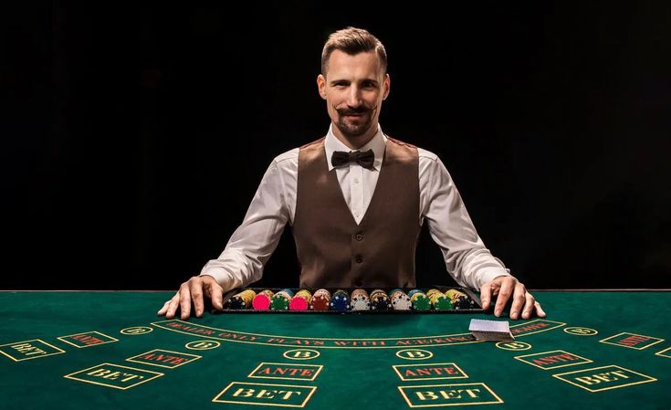 Fat Cat Casino Live Casino