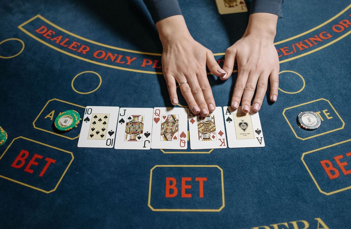 Fat Cat Casino Live Betting