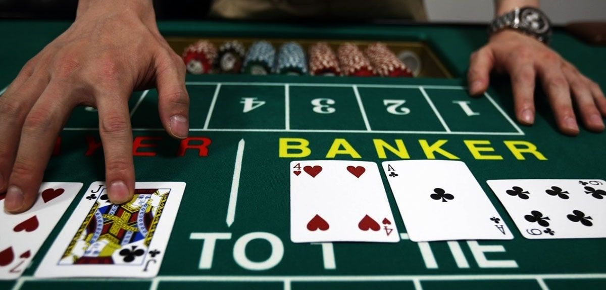 Fat Cat Casino Live Betting